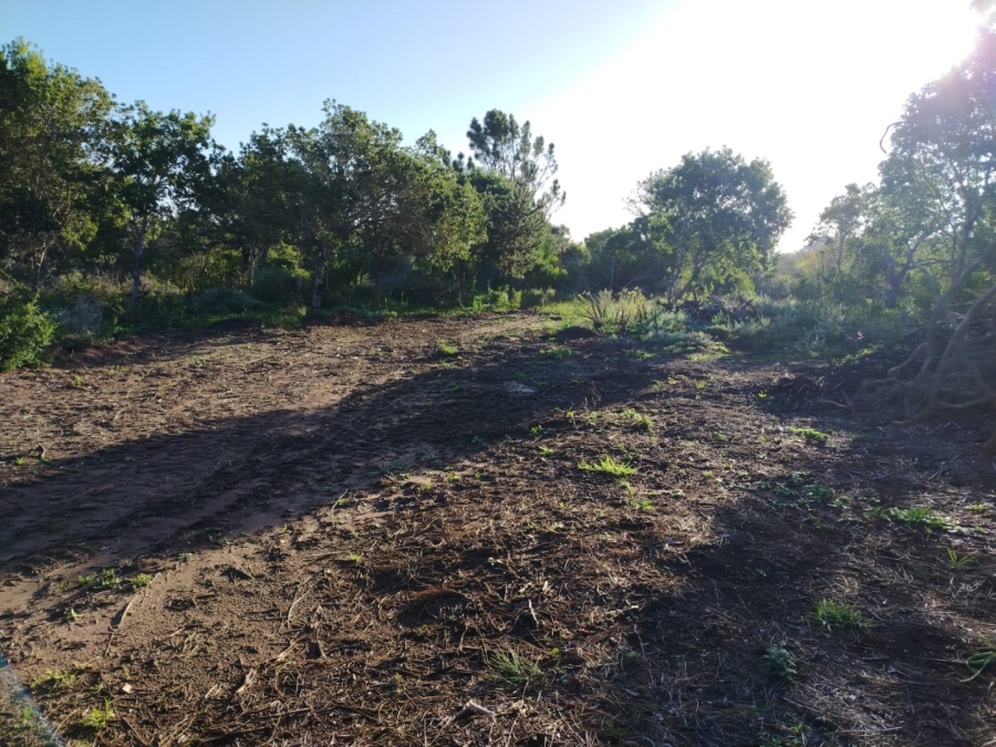 Commercial Property for Sale in Langvlei Dunes Western Cape